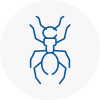 Ant Removals In Eling
