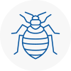 Bed Bug Extermination In Eling