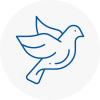 Bird Prevention Eling