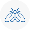 Moth Control Specialists In Eling