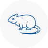 Rat Control Eling