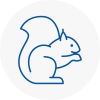 Eling Rodent Removals