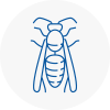 Eling Wasp Nest Removal